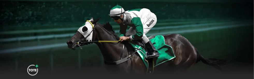 欧战,组第,马竞对阵莫,大赢家足球比分,大赢家比分官网,大赢家体育,大赢家网页版,大赢家app下载电脑版