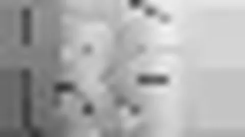 监控曝光活鸡惨食，埃弗拉坦承：不堪回首，录像成永久痛处！